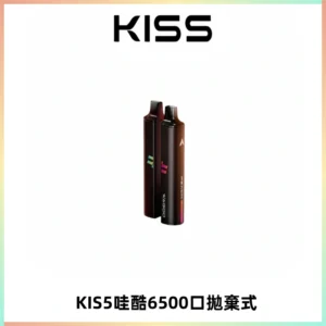 KIS5WAGOO哇酷6500口拋棄式 | 自由混搭雙口味 | 雙芯組合